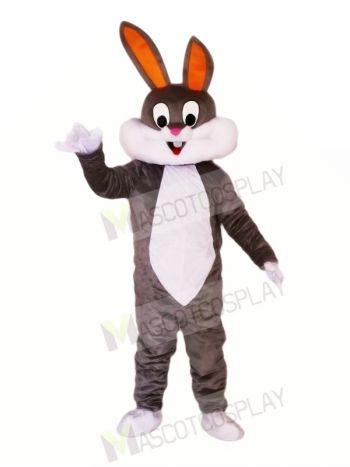 Cute Gray & White Rabbit Mascot Costumes