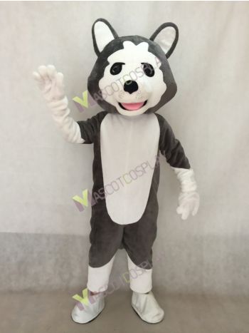  Dark Gray Wolf Dog Mascot Costume