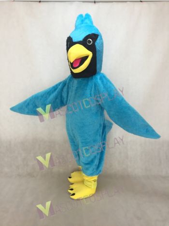 Realistic New Plush Blue Jay Mascot Costume