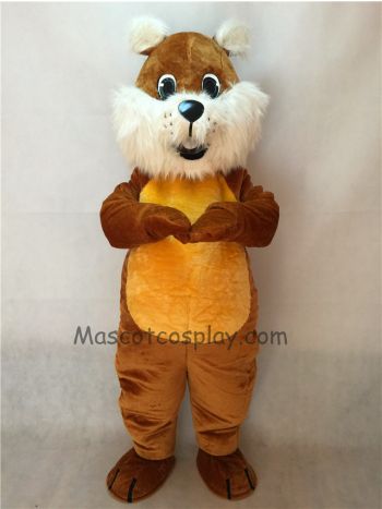 Chubby Squirrel Mascot Costume