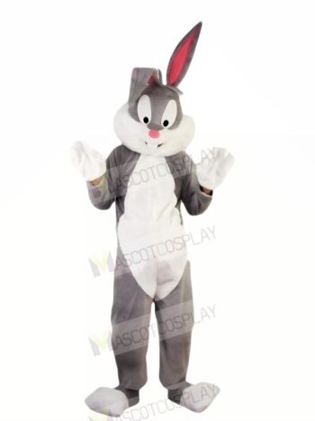 Hot Professional Easter Bunny Mascot Costumes Cheap