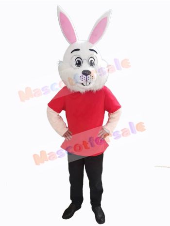 Easter Bunny Rabbit mascot costume