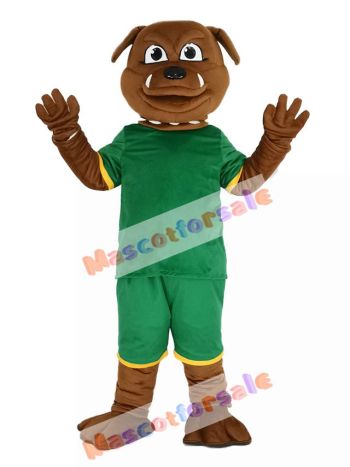 Brown Bulldog in Green Sweatshirt Mascot Costume