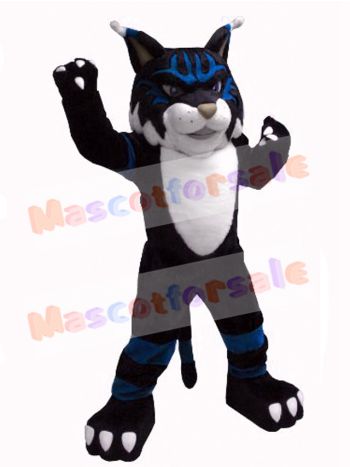 Cat mascot costume
