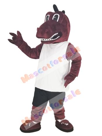 Dragon mascot costume