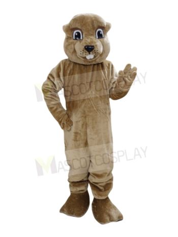 Cute Brown Groundhog Mascot Costume
