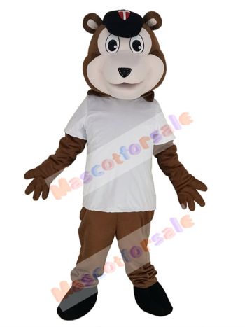 Bear mascot costume
