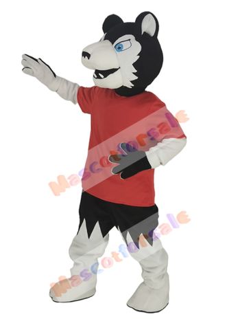 Wolf mascot costume