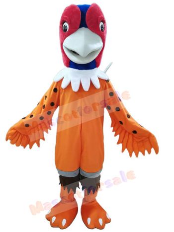 Pheasant mascot costume