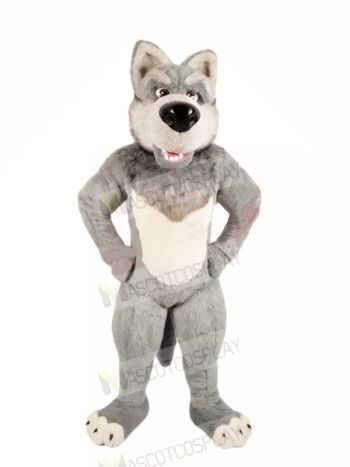 Grey Wolf with Big Nose Mascot Costumes Cartoon	