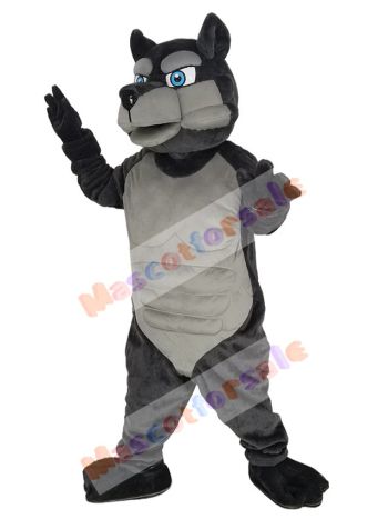 Wolf mascot costume