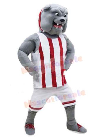 Dog mascot costume