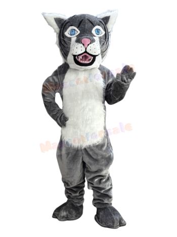 Wildcat mascot costume