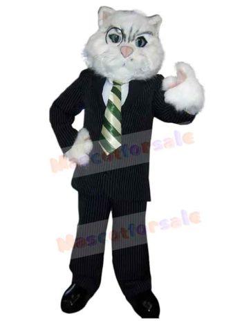 Cat mascot costume