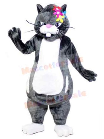 Cat mascot costume