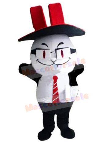 Cat mascot costume