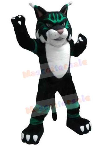 Cat mascot costume