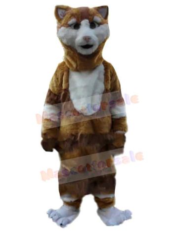 Cat mascot costume