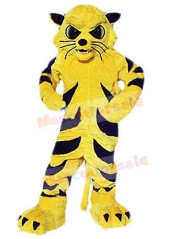 Cat mascot costume