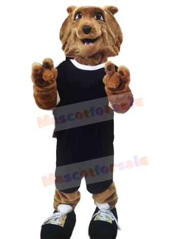 Wolf mascot costume