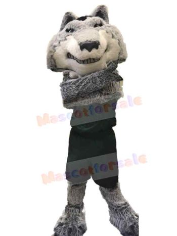 Wolf mascot costume