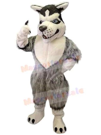 Wolf mascot costume
