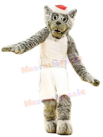 Wolf mascot costume
