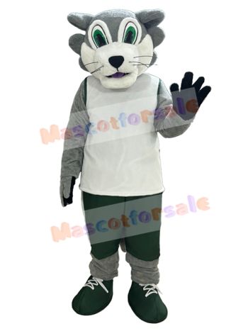 Wolf mascot costume