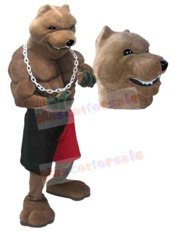 Wolf mascot costume