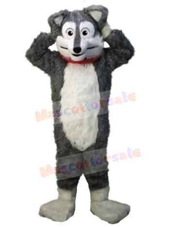 Wolf mascot costume