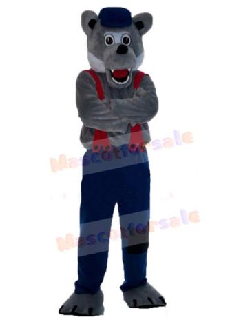 Wolf mascot costume