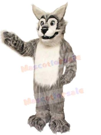 Wolf mascot costume