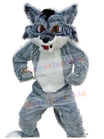 Wolf mascot costume