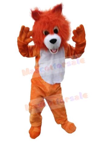 Wolf mascot costume