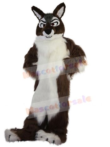 Wolf mascot costume