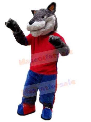 Wolf mascot costume