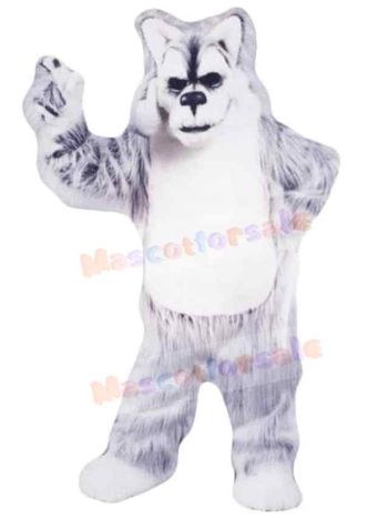 Wolf mascot costume