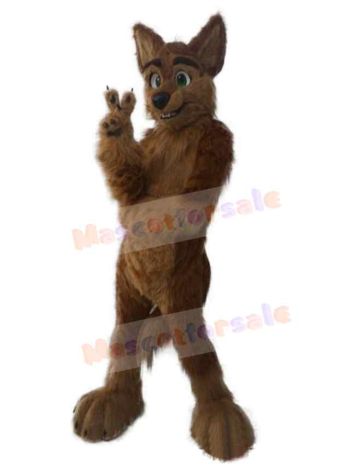 Wolf mascot costume