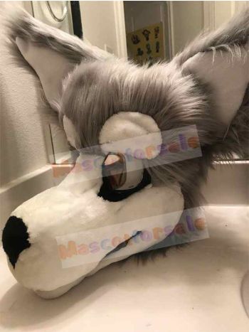 Wolf mascot costume