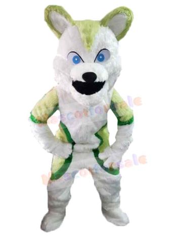 Wolf mascot costume
