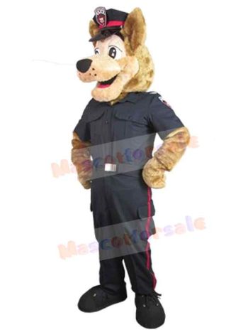 Wolf mascot costume