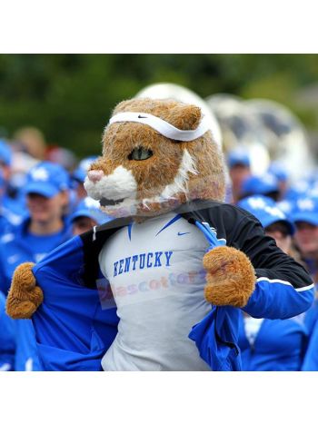 Tiger mascot costume