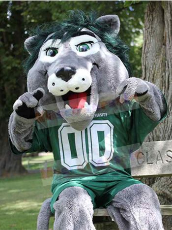 Lion mascot costume