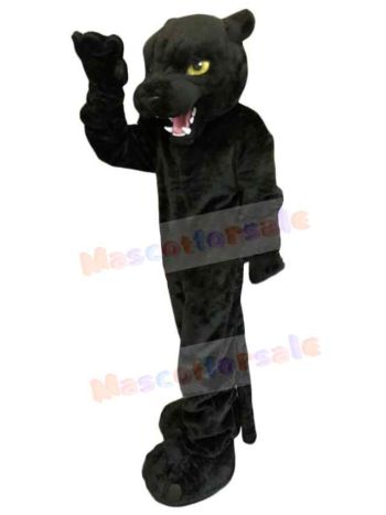 Panther mascot costume