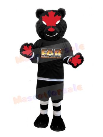 Bear mascot costume