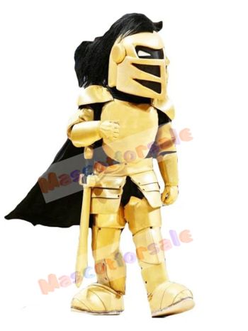 knight mascot costume