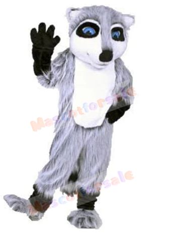 Raccoon mascot costume