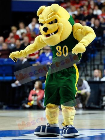 Bulldog mascot costume