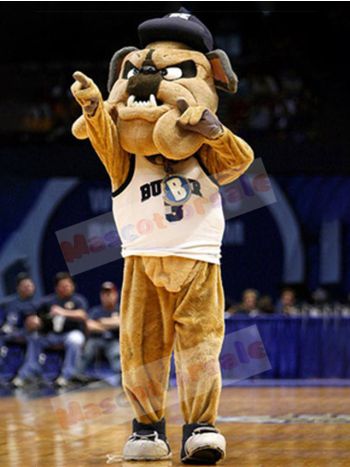 Dog mascot costume