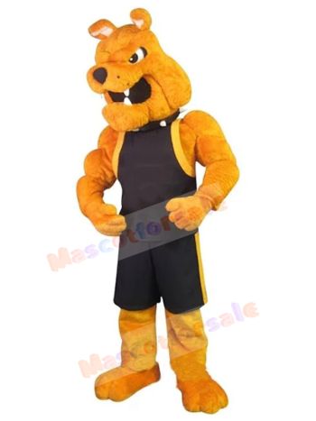 dog mascot costume